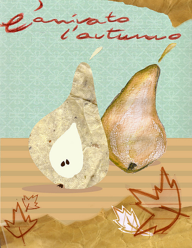 4095954060_1f02b5a923