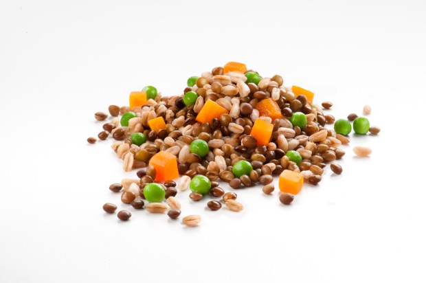 LENTICCHIE E FARRO